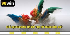 Đá Gà Cựa Dao 98WIN Cập Nhật Trực Tiếp Nhanh Chóng Nhất