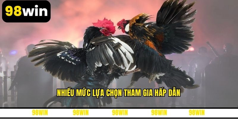 Nhiều mức lựa chọn tham gia hấp dẫn