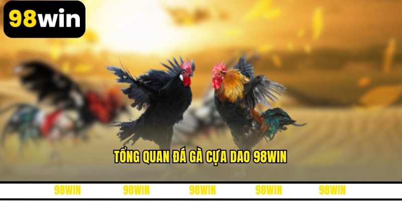 Tổng quan đá gà cựa dao 98WIN