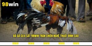 Đá Gà Cựa Sắt 98WIN Trận Chiến Nghệ Thuật Đỉnh Cao
