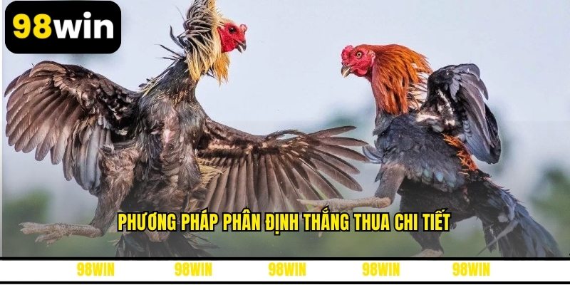 Phương pháp phân định thắng thua chi tiết