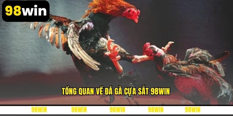 Tổng quan về đá gà cựa sắt 98WIN