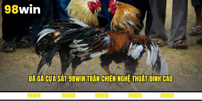 Đá Gà Cựa Sắt 98WIN Trận Chiến Nghệ Thuật Đỉnh Cao