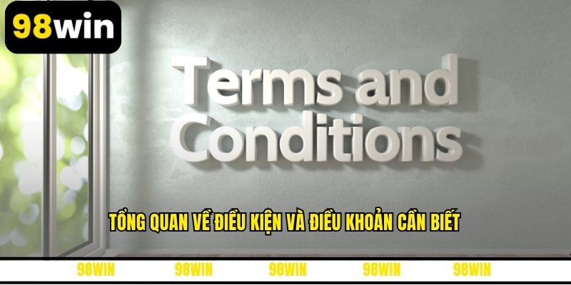 Tổng quan về điều kiện và điều khoản cần biết